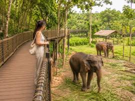 Phuket Elephant Sanctuary — 90 минут для взрослого