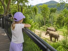 Phuket Elephant Sanctuary — 90 минут