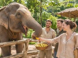 Частная экскурсия Phuket Elephant Sanctuary