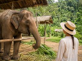 Полный день в Phuket Elephant Sanctuary на Пхукете