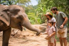 Journée complète au Phuket Elephant Sanctuary à Ph