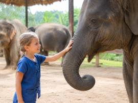 Полдня со слонами в Phuket Elephant Care на Пхукет