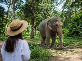 90 Minuten mit Elefanten auf Phuket